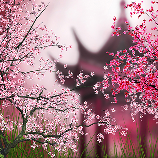 Tema Bunga Sakura Bergerak - KibrisPDR