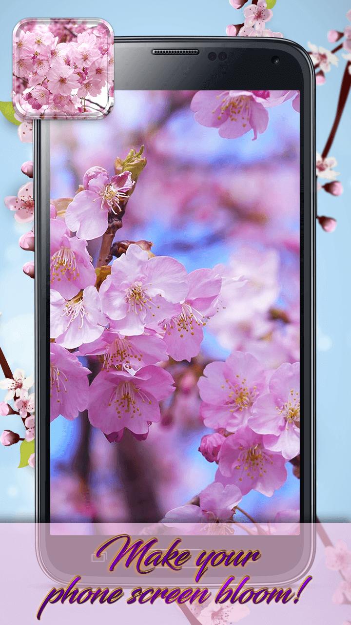Detail Tema Bunga Sakura Bergerak Nomer 10