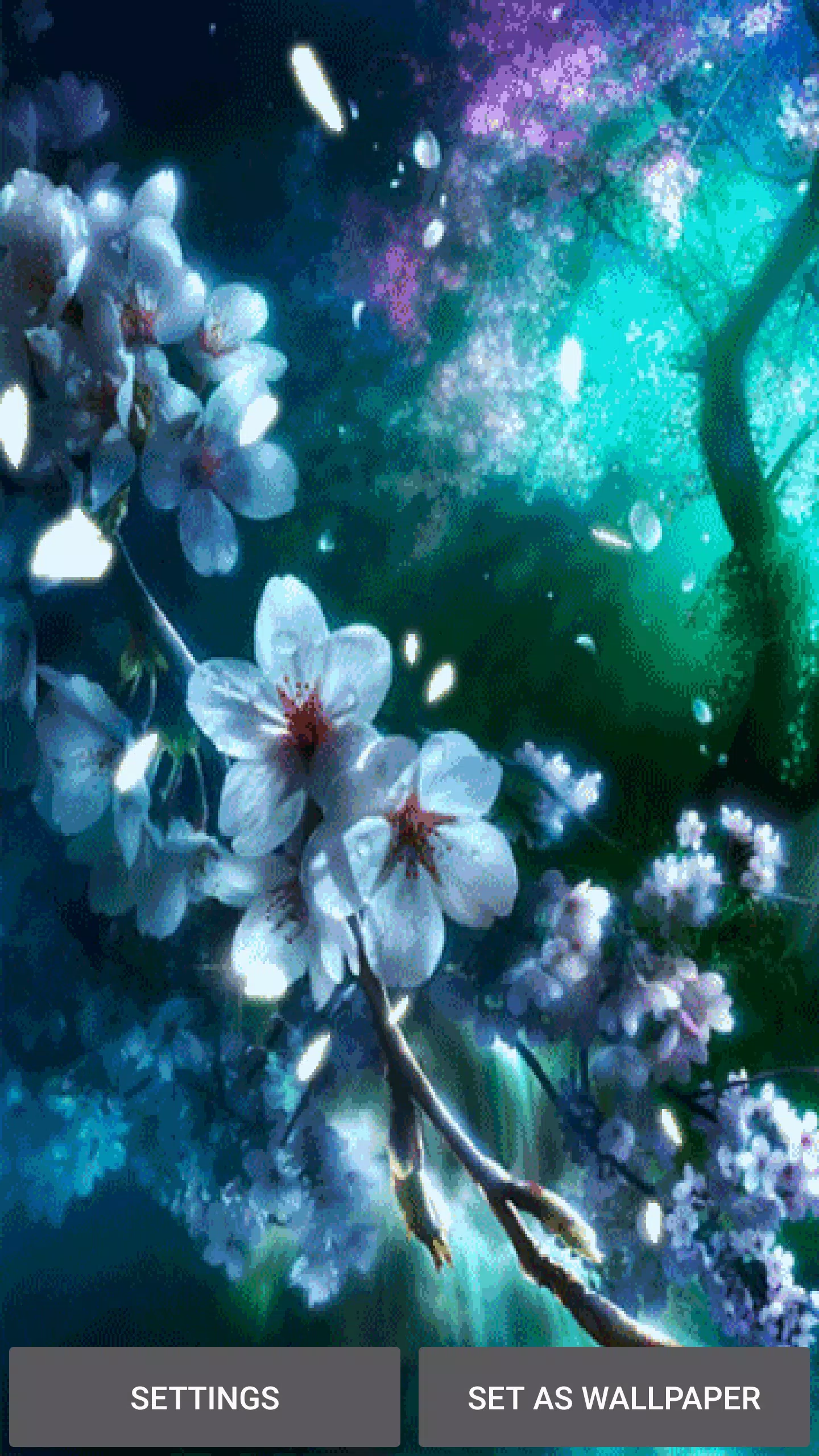 Detail Tema Bunga Sakura Bergerak Nomer 15