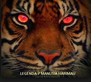 Detail Tema Harimau Putih Nomer 48