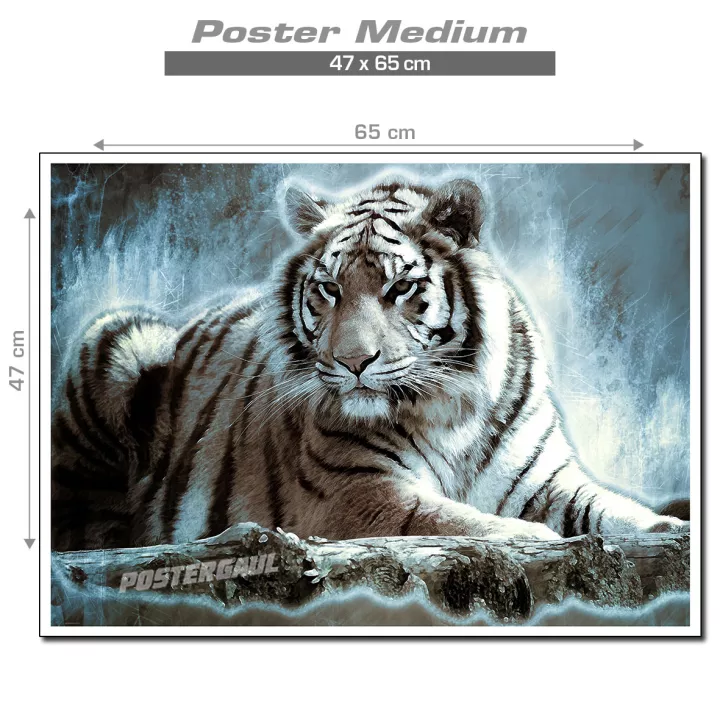 Detail Tema Harimau Putih Nomer 51