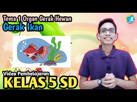 Detail Tema Ikan Gerak Nomer 23