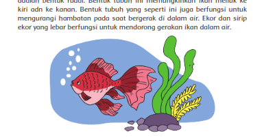 Detail Tema Ikan Gerak Nomer 36