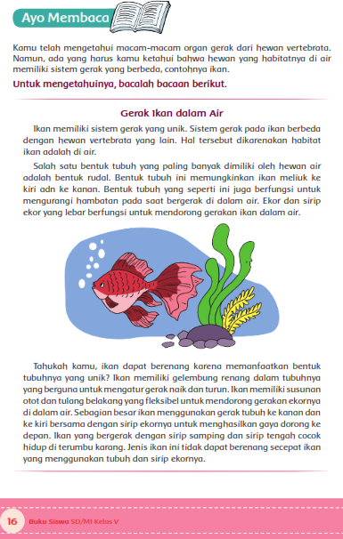 Detail Tema Ikan Gerak Nomer 45