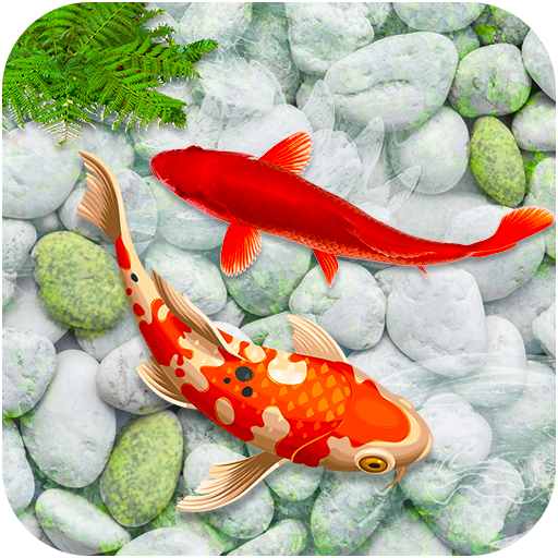 Download Tema Ikan Koi Hidup Nomer 27