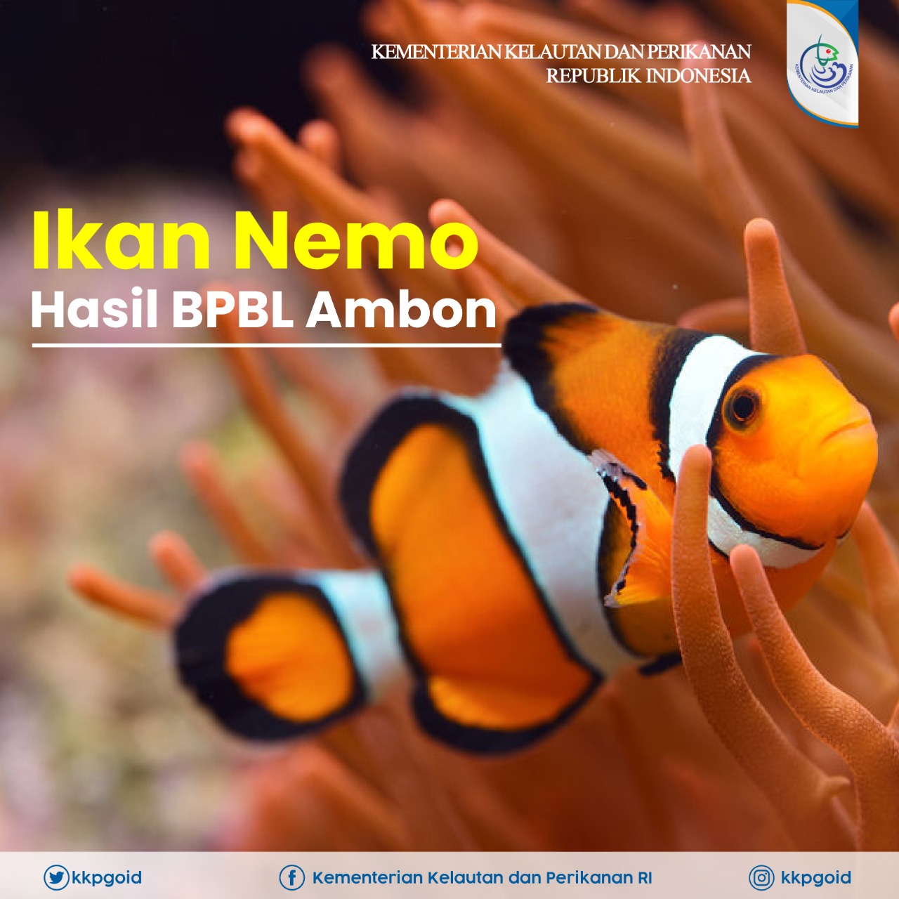 Detail Tema Ikan Nemo Nomer 30