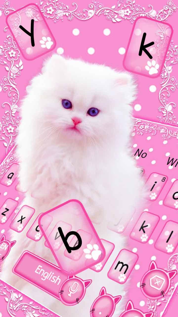 Detail Tema Kitty Pink Nomer 25