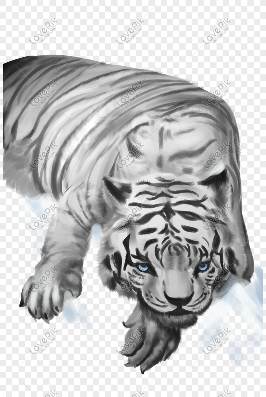 Detail Tema Macan Nomer 11