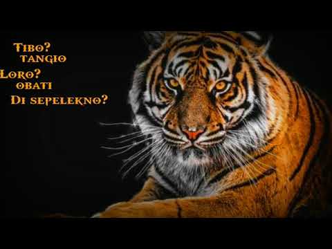 Detail Tema Macan Nomer 24