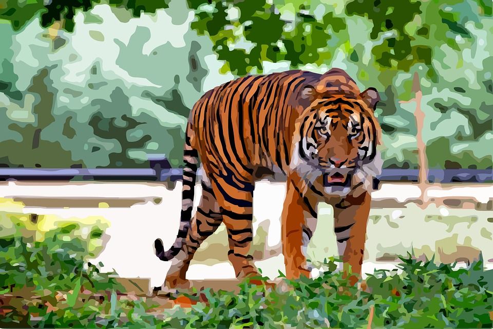 Detail Tema Macan Nomer 40