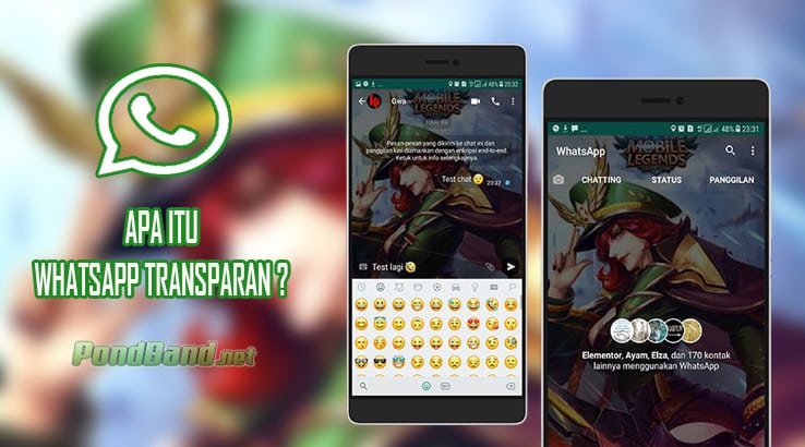 Detail Tema Tembus Pandang Nomer 21