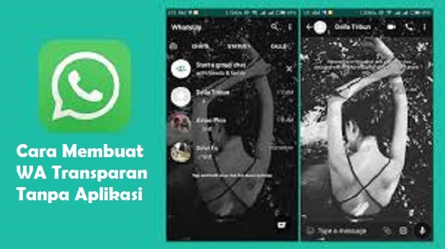 Detail Tema Tembus Pandang Nomer 31