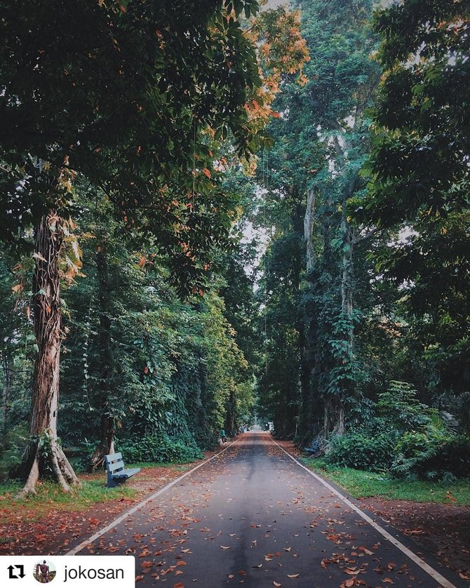 Detail Tempat Foto Aesthetic Di Bogor Nomer 2