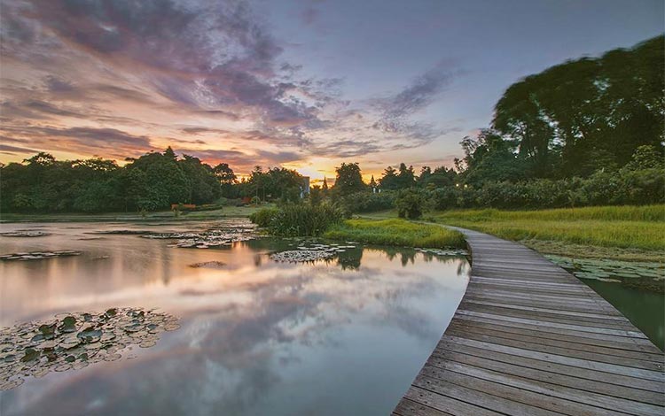 Detail Tempat Foto Aesthetic Di Bogor Nomer 29