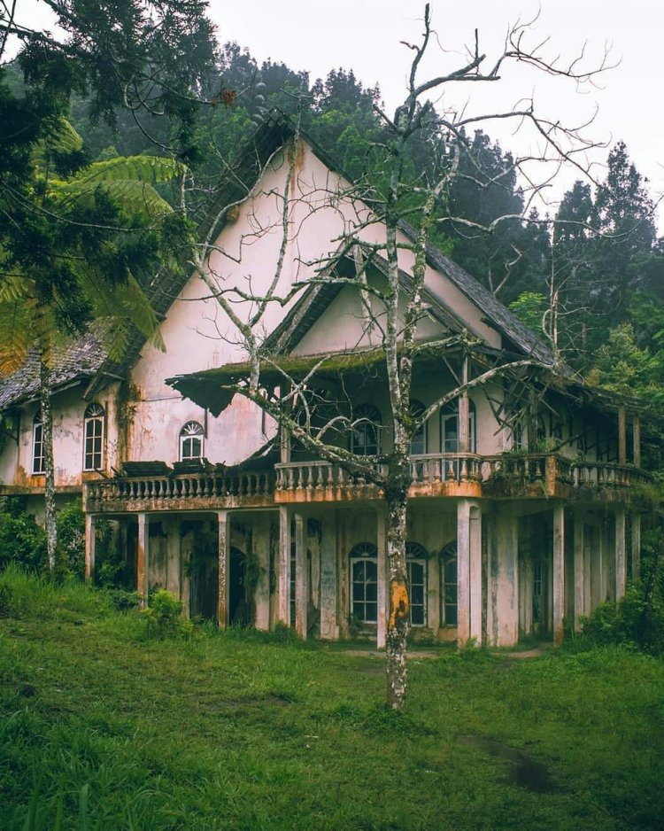 Detail Tempat Foto Aesthetic Di Jogja Nomer 45