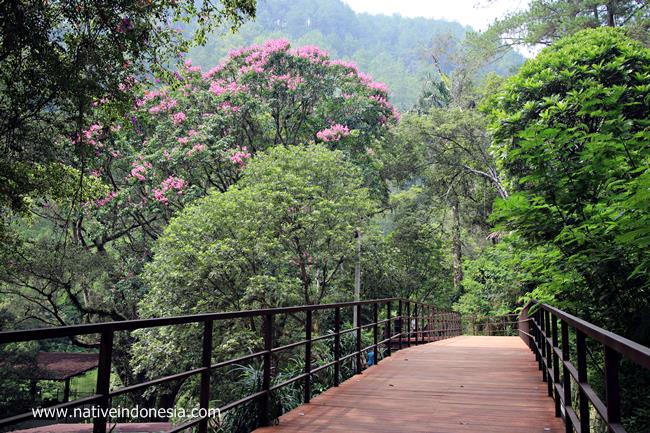 Detail Tempat Foto Bagus Di Bandung Nomer 19