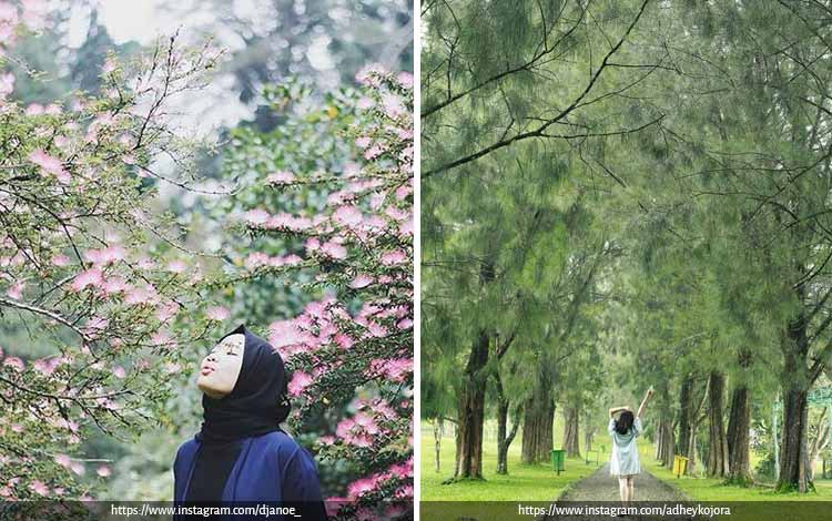 Detail Tempat Foto Instagramable Di Bogor Nomer 17