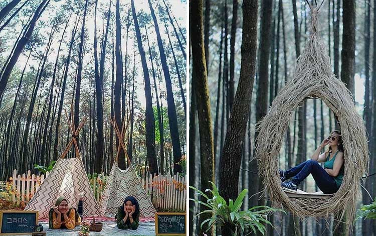 Detail Tempat Foto Instagramable Di Bogor Nomer 7