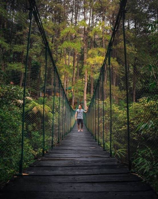 Detail Tempat Foto Instagramable Di Bogor Nomer 9