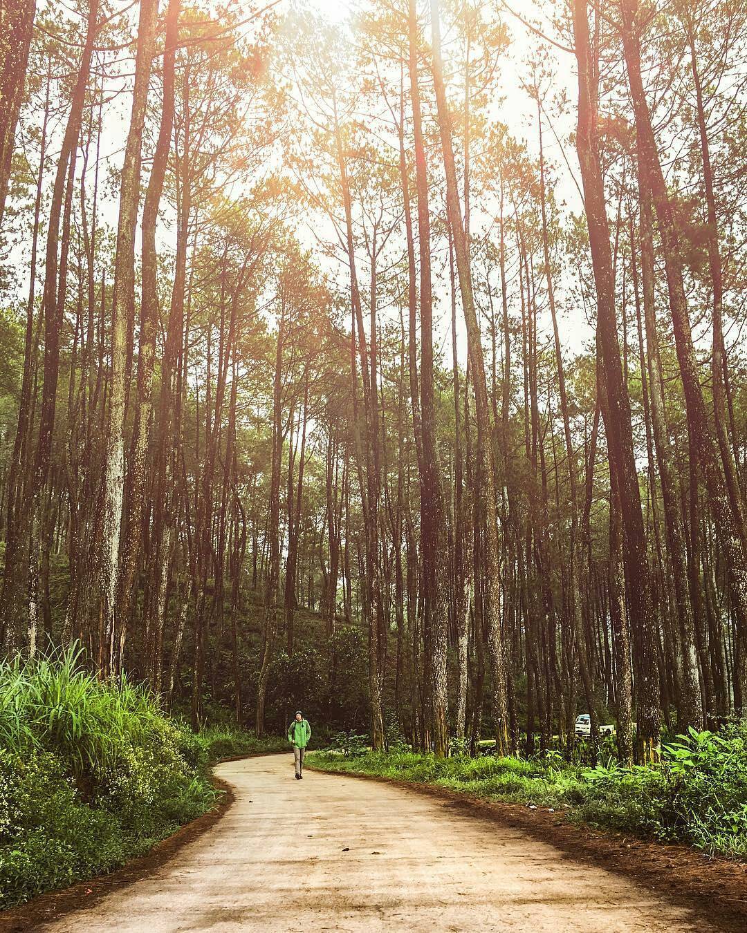 Detail Tempat Foto Keren Di Bandung Nomer 16