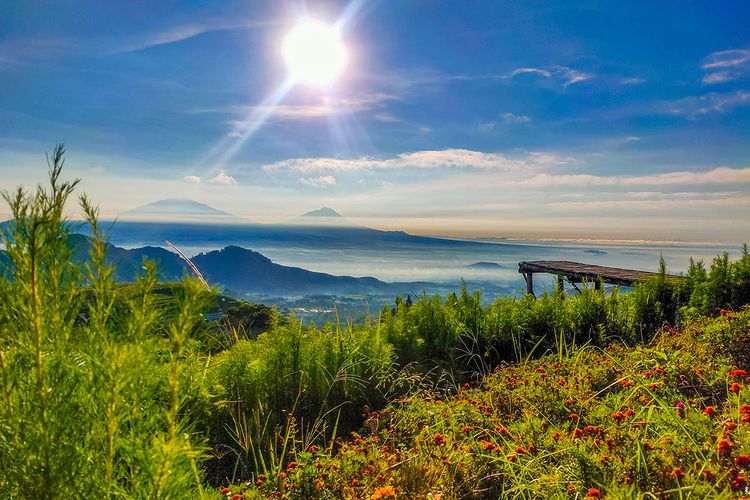 Detail Tempat Foto Pas Foto Terdekat Nomer 30