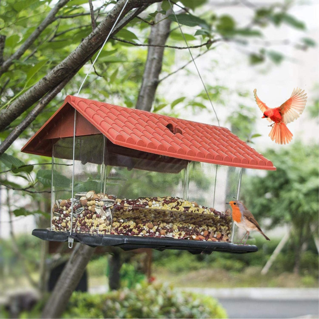 Detail Tempat Makan Burung Liar Nomer 41