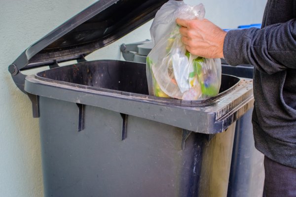 Detail Tempat Sampah Depan Rumah Nomer 4