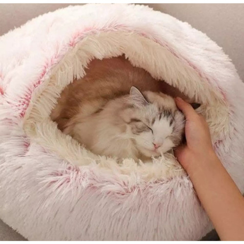 Detail Tempat Tidur Kucing Lucu Nomer 41