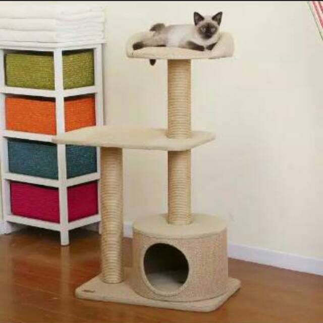 Detail Tempat Tidur Kucing Persia Nomer 13