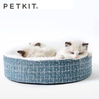 Detail Tempat Tidur Kucing Persia Nomer 52