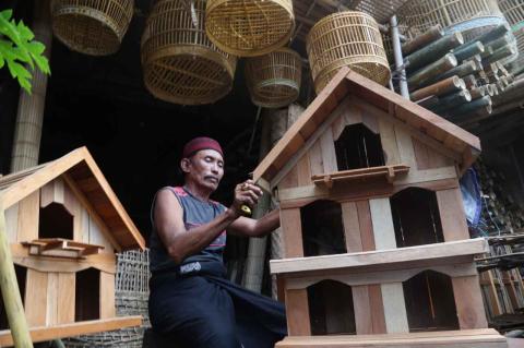 Detail Tempat Tinggal Burung Merpati Nomer 27