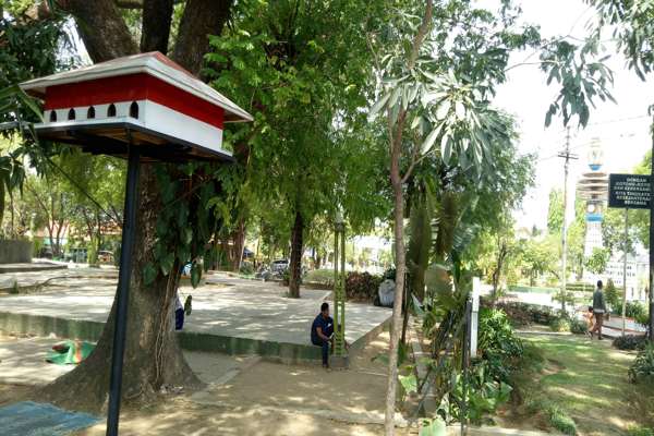 Detail Tempat Tinggal Burung Merpati Nomer 42