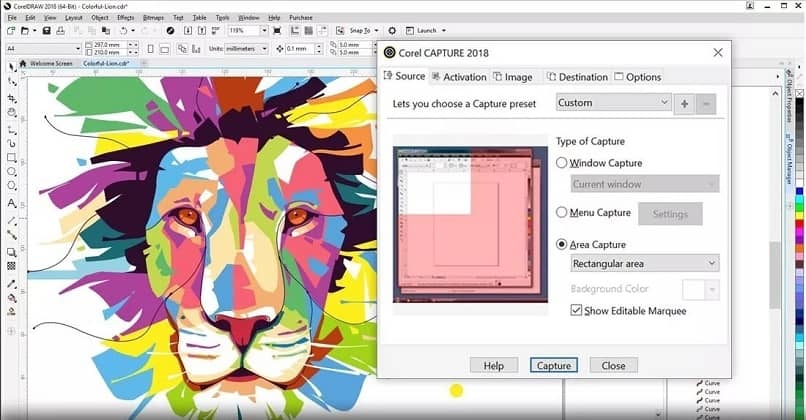 Detail Template Corel Draw Free Nomer 37