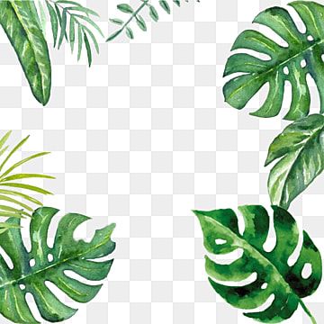 Detail Template Daun Png Nomer 5