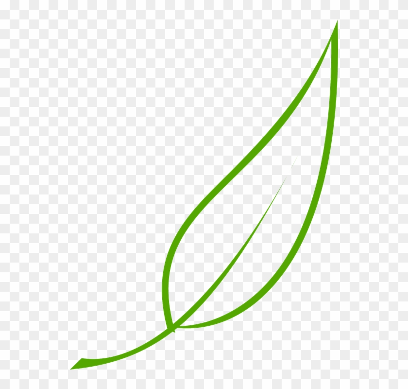 Template Daun Png 37 Koleksi Gambar Template Daun Png 37 Koleksi Gambar