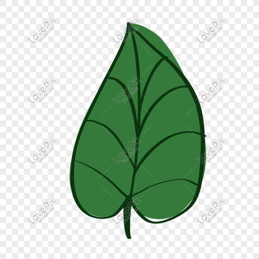 Detail Template Daun Png Koleksi Nomer 7 Detail Template Daun Png Koleksi Nomer 7