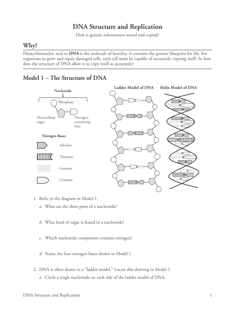 Detail Template Mpls Nomer 33