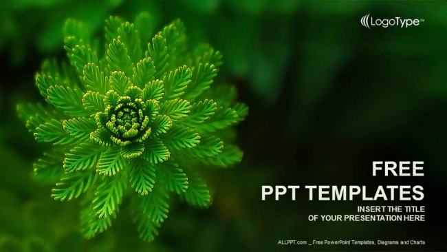 Detail Template Power Point Nature Nomer 24