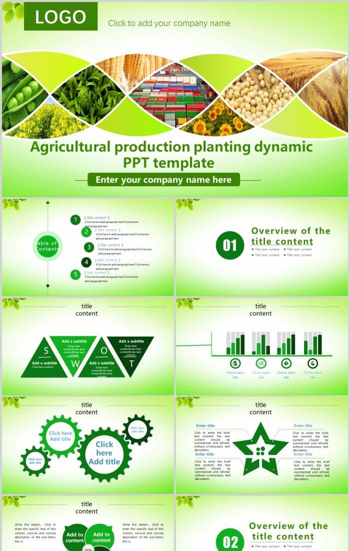 Detail Template Powerpoint Pertanian Nomer 6