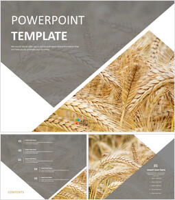 Detail Template Ppt Coklat Nomer 42