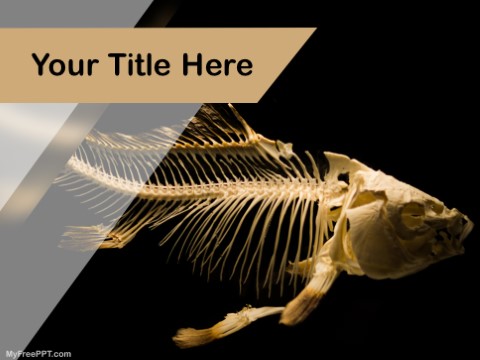 Detail Template Ppt Ikan Nomer 16
