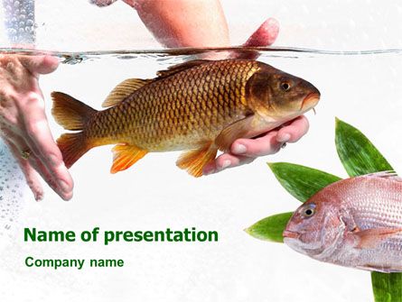 Detail Template Ppt Ikan Nomer 26