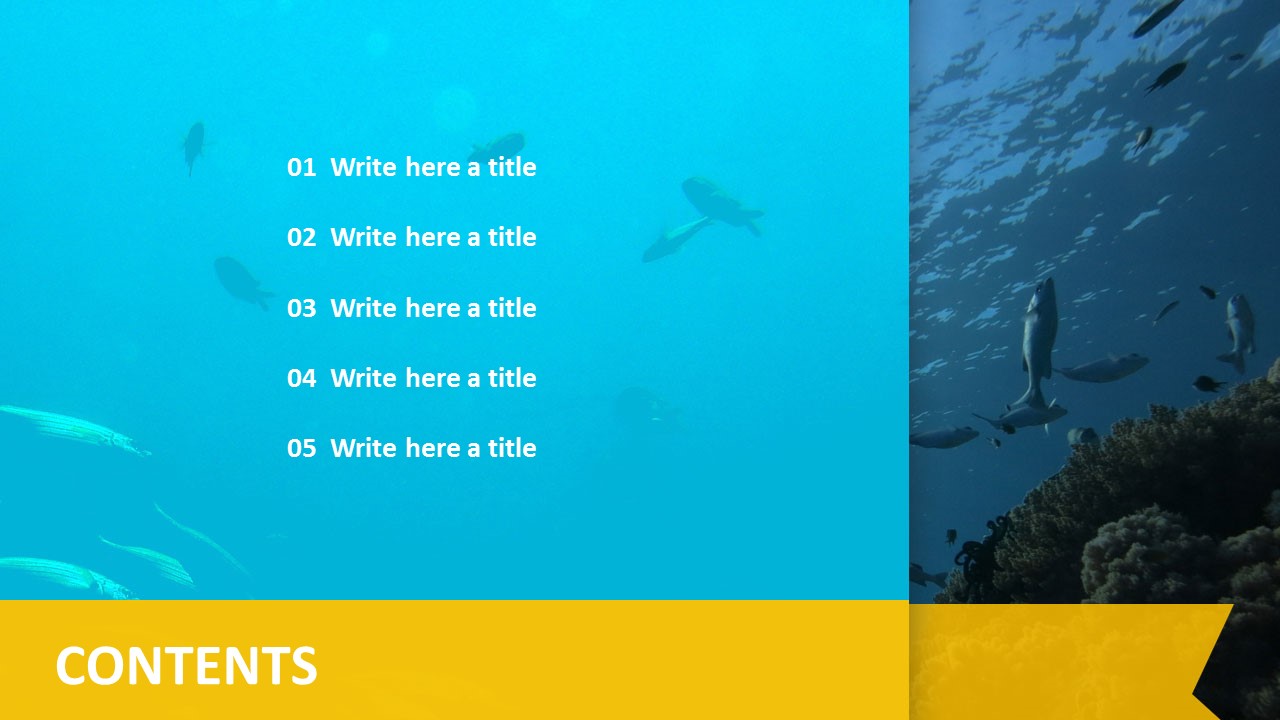 Detail Template Ppt Ikan Nomer 32