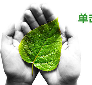 Detail Template Ppt Lingkungan Nomer 50