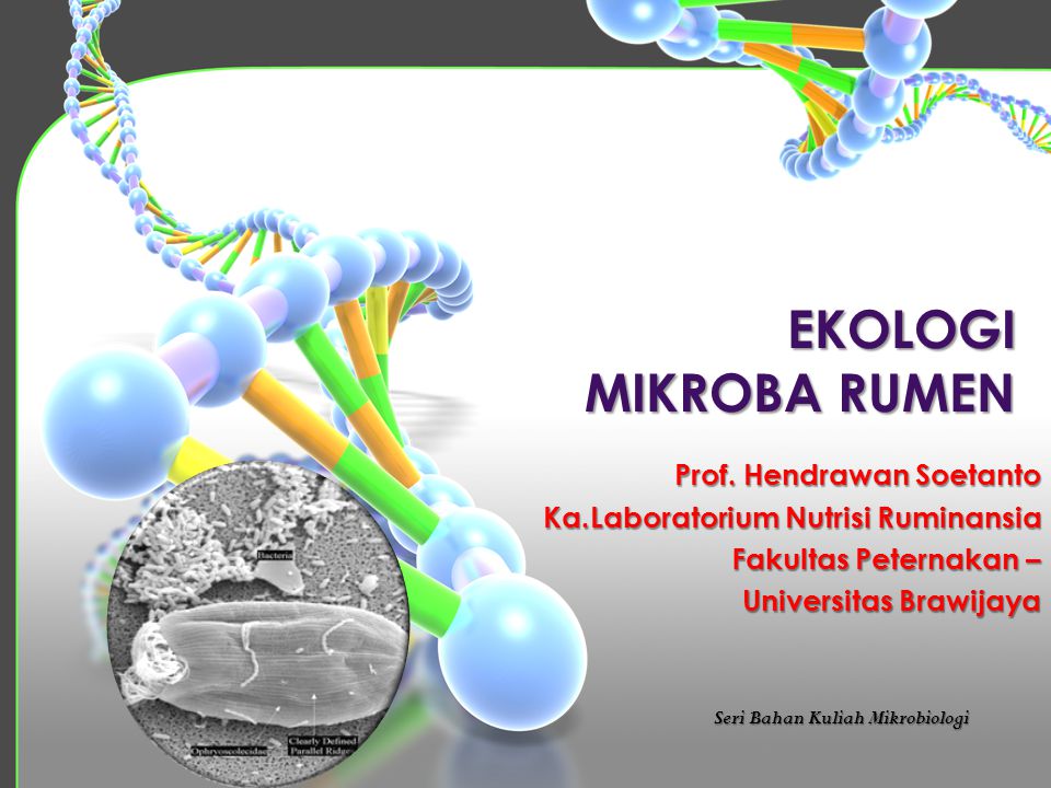 Detail Template Ppt Mikrobiologi Nomer 12