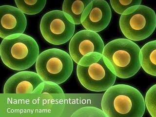 Detail Template Ppt Mikrobiologi Nomer 33