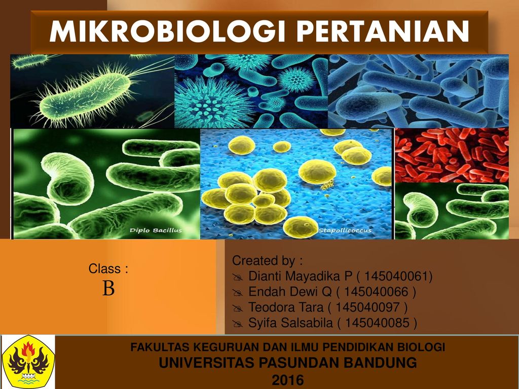 Detail Template Ppt Mikrobiologi Nomer 34