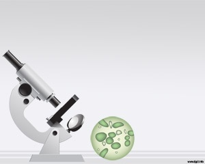 Detail Template Ppt Mikrobiologi Nomer 7