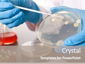 Detail Template Ppt Mikrobiologi Nomer 9