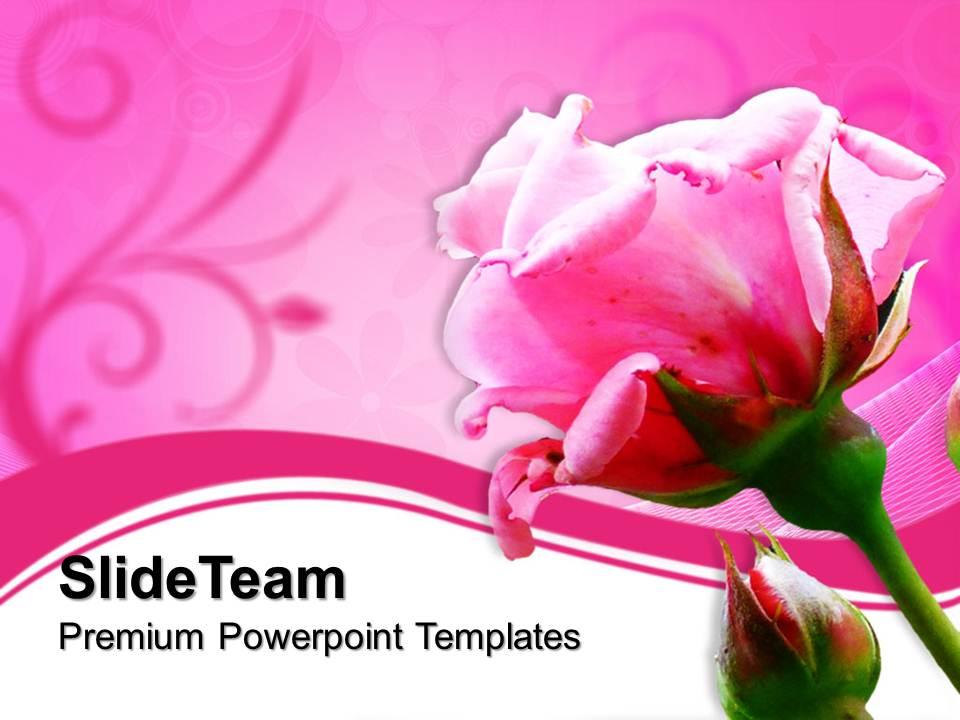 Detail Template Ppt Pink Nomer 37